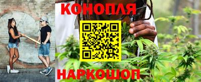 прущие грибы Апшеронск