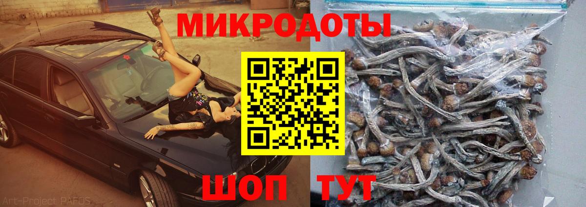 Галлюциногенные грибы мицелий  Вход с VPN  Белореченск  Псилоцибиновые грибы мицелий 