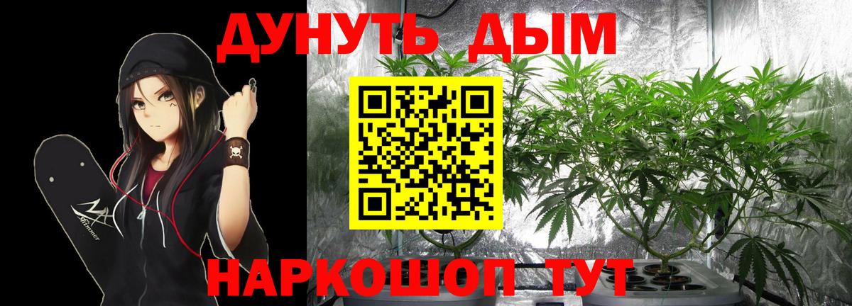 Бошки Шишки марихуана Белореченск
